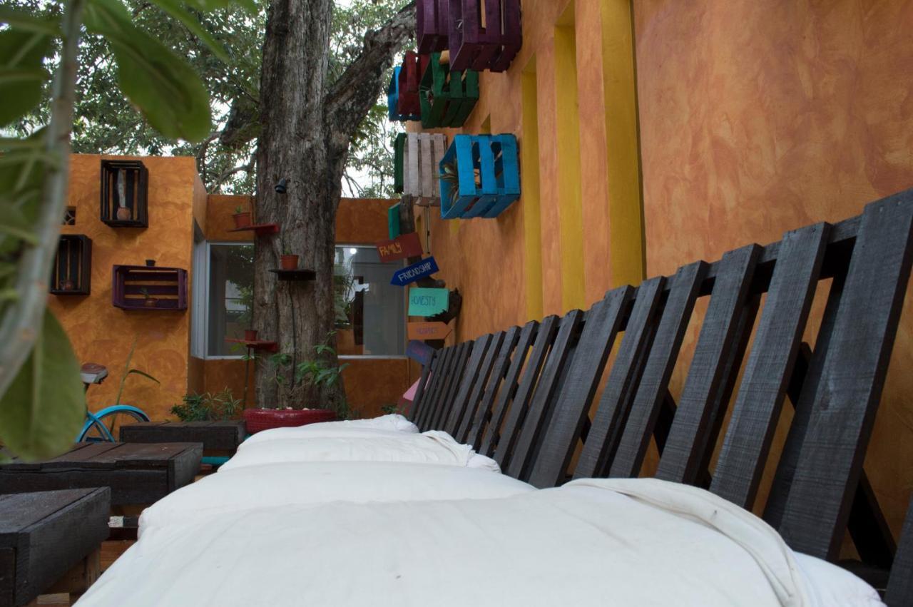 Agavero Hostel Cancun